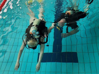 Scuba diving (подводное плавание с аквалангом)